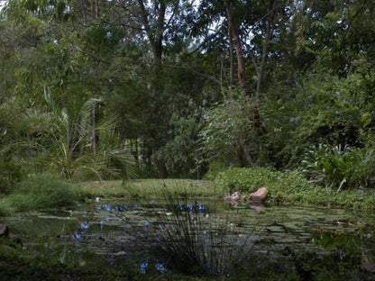 Four Fields Farm, Forest, Nature, Plant, Tree, Wood, River, Waters, Garden