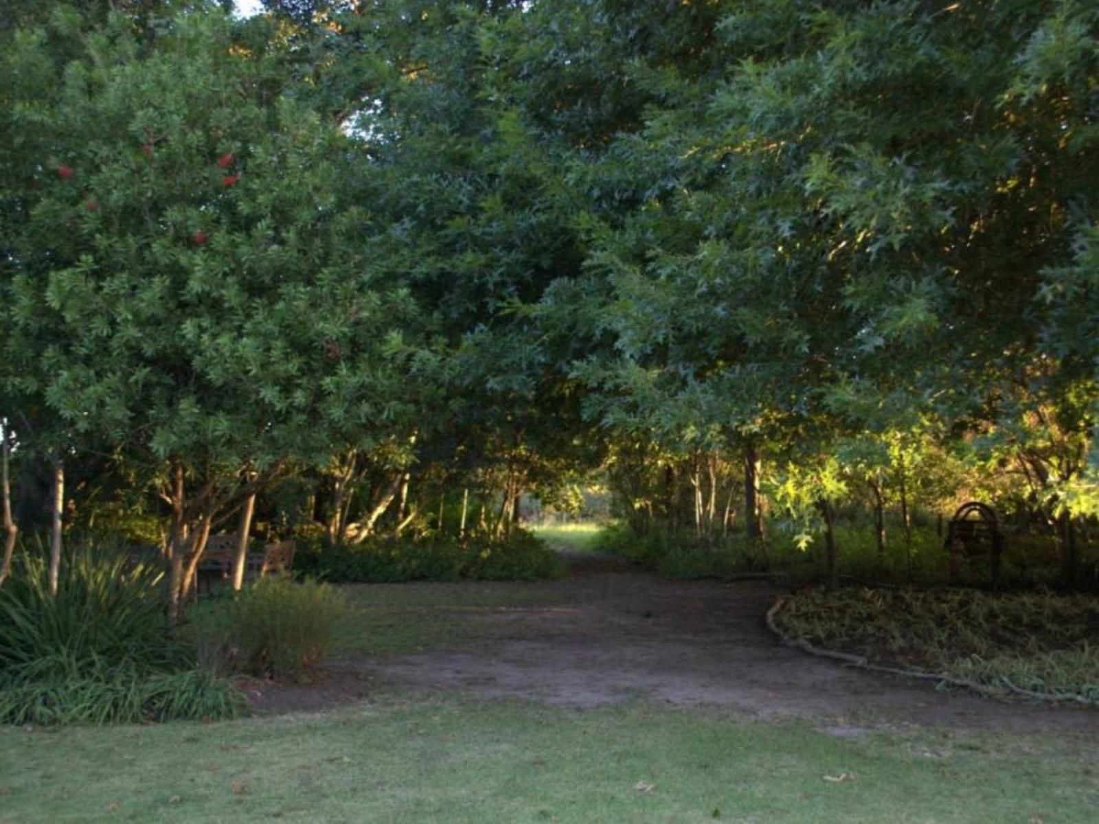 Four Fields Farm, Plant, Nature, Tree, Wood, Garden