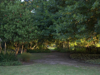 Four Fields Farm, Plant, Nature, Tree, Wood, Garden