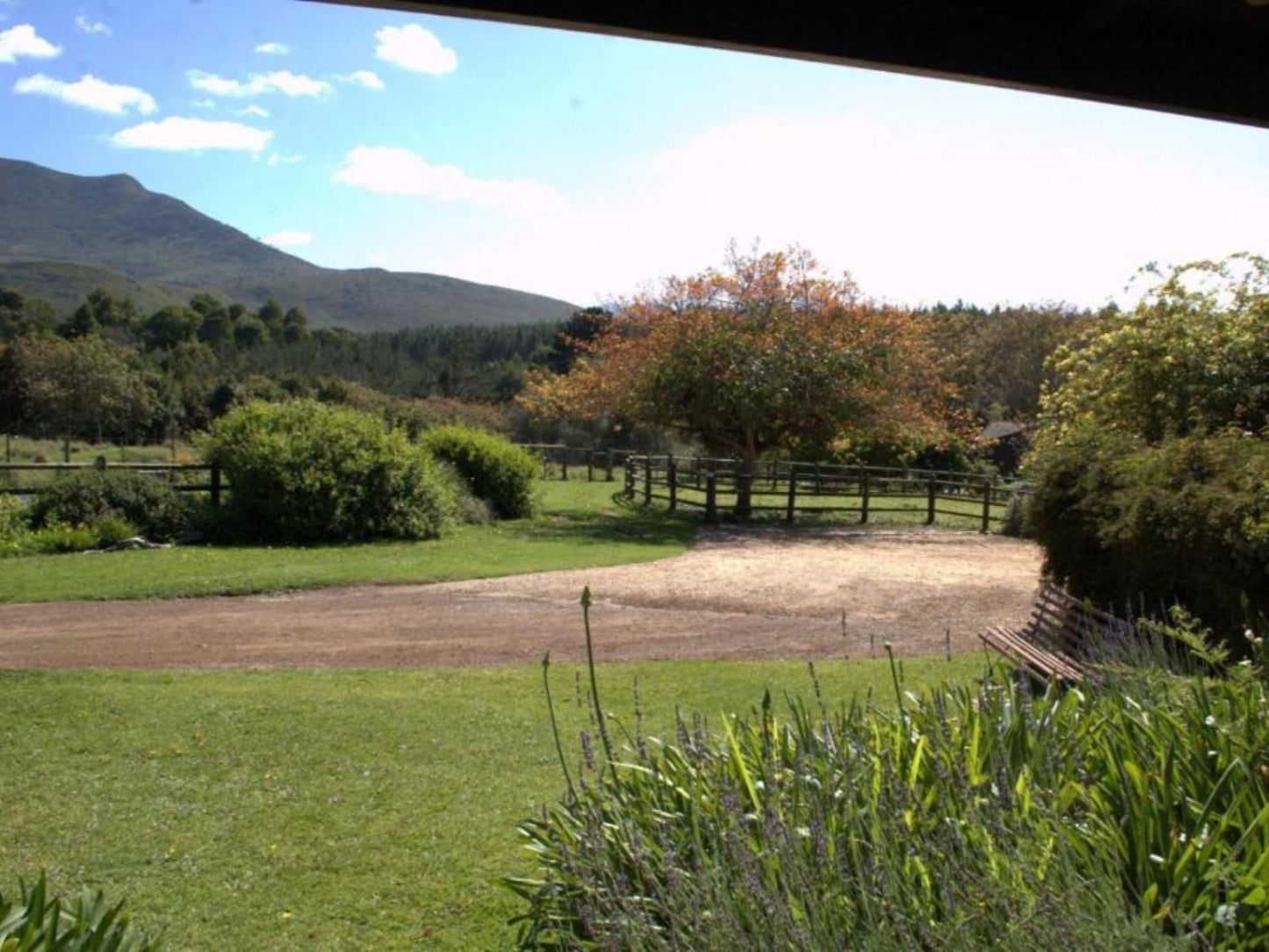 Four Fields Farm, Nature