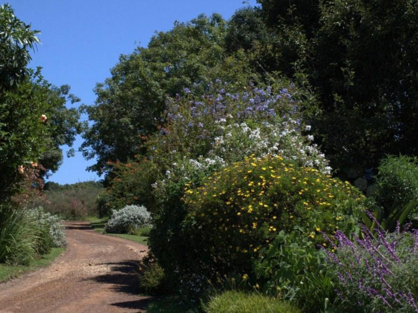 Four Fields Farm, Plant, Nature, Garden