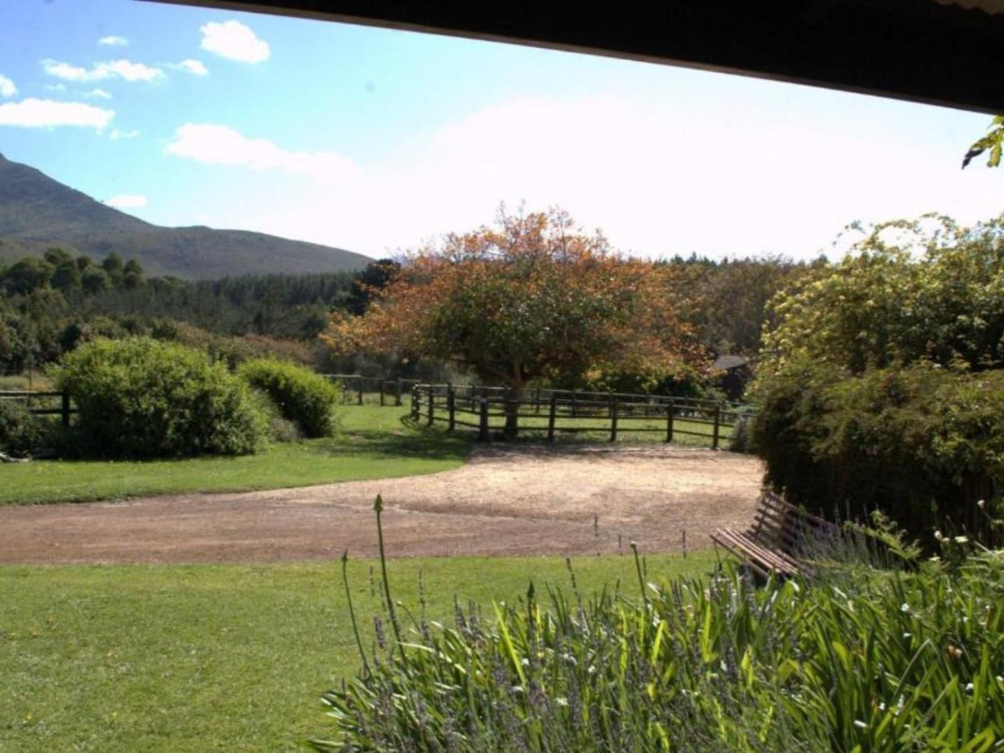 Four Fields Farm, Lavender Cottage, Nature