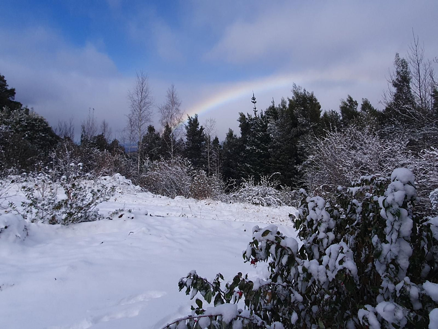 Fourfields Hogsback, Rainbow, Nature, Winter Landscape, Snow, Winter