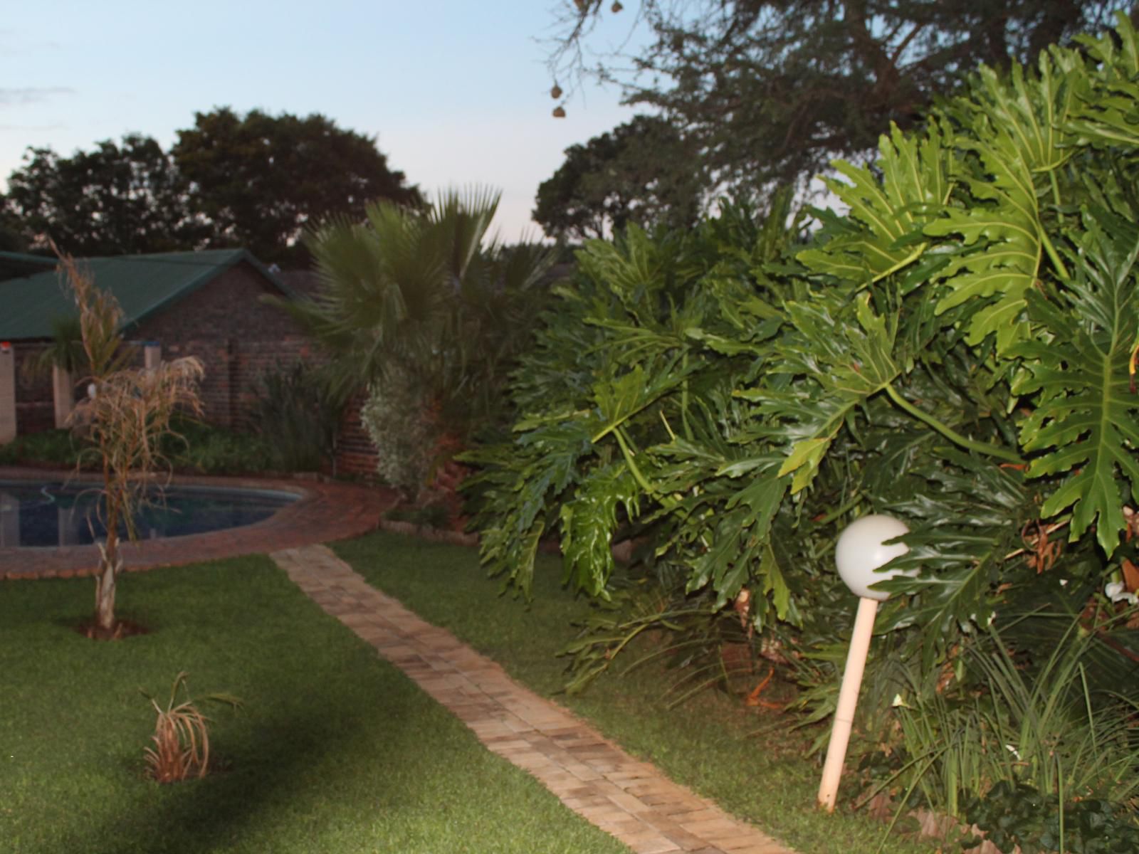 Fourie Street 199 Bed And Breakfast Mokopane Potgietersrus Limpopo Province South Africa Palm Tree, Plant, Nature, Wood, Garden