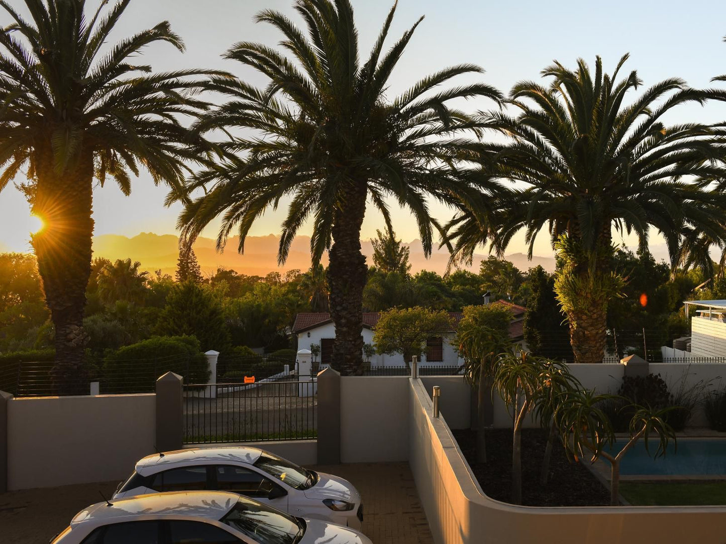 Four Palms Accommodation Durbanville Cape Town Western Cape South Africa Palm Tree, Plant, Nature, Wood, Car, Vehicle