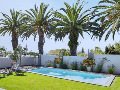 Four Palms Accommodation Durbanville Cape Town Western Cape South Africa Complementary Colors, Palm Tree, Plant, Nature, Wood, Garden, Swimming Pool