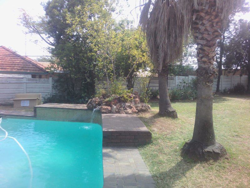 Fourways Backpackers Lodge Fourways Johannesburg Gauteng South Africa Palm Tree, Plant, Nature, Wood, Garden, Swimming Pool