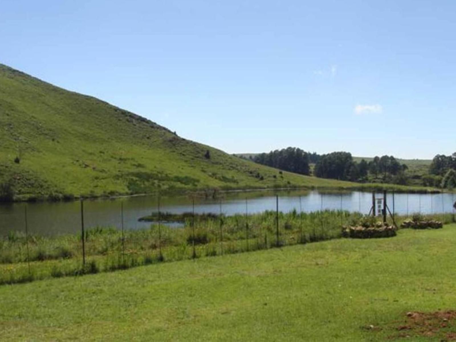 Fox And Squirrel Dullstroom Mpumalanga South Africa Complementary Colors, Lake, Nature, Waters, River, Highland