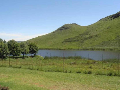 Fox And Squirrel Dullstroom Mpumalanga South Africa Complementary Colors, Lake, Nature, Waters, Mountain, Highland