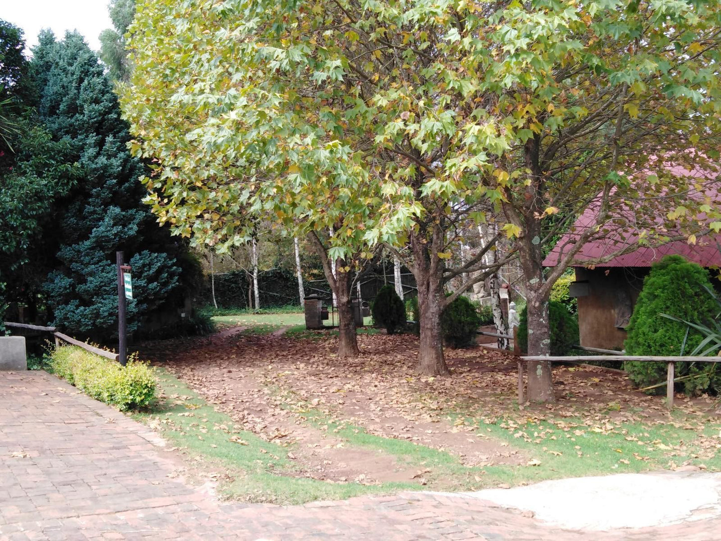Fox Hill Guest House Dullstroom Mpumalanga South Africa Tree, Plant, Nature, Wood, Autumn
