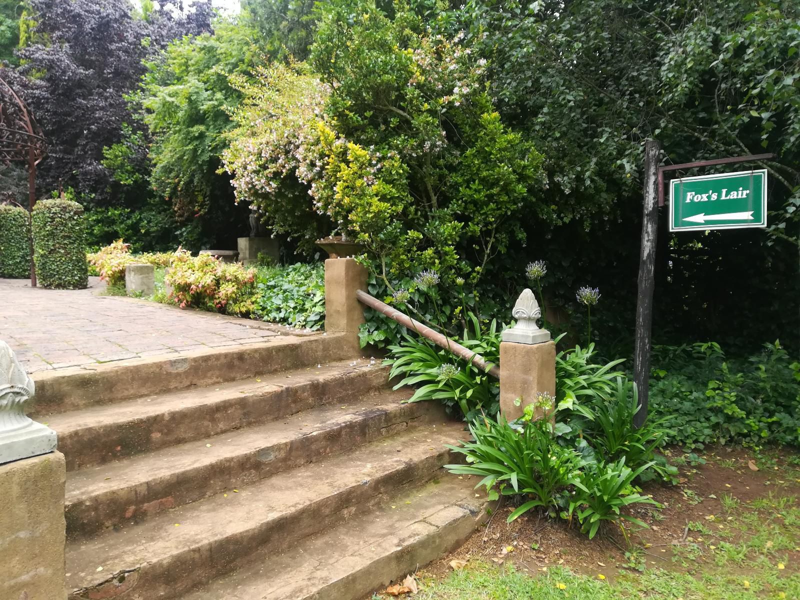 Fox Hill Guest House Dullstroom Mpumalanga South Africa Plant, Nature, Stairs, Architecture, Garden