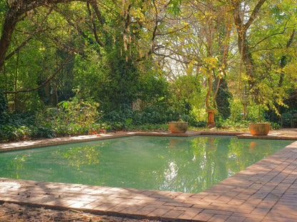 Foxwood House Houghton Johannesburg Gauteng South Africa Garden, Nature, Plant, Swimming Pool