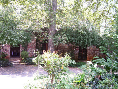 Foxwood House Houghton Johannesburg Gauteng South Africa Building, Architecture, Tree, Plant, Nature, Wood