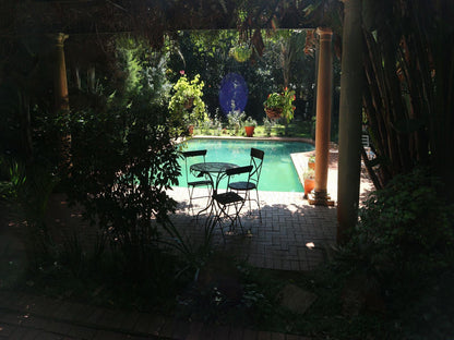 Foxwood House Houghton Johannesburg Gauteng South Africa Plant, Nature, Garden, Swimming Pool