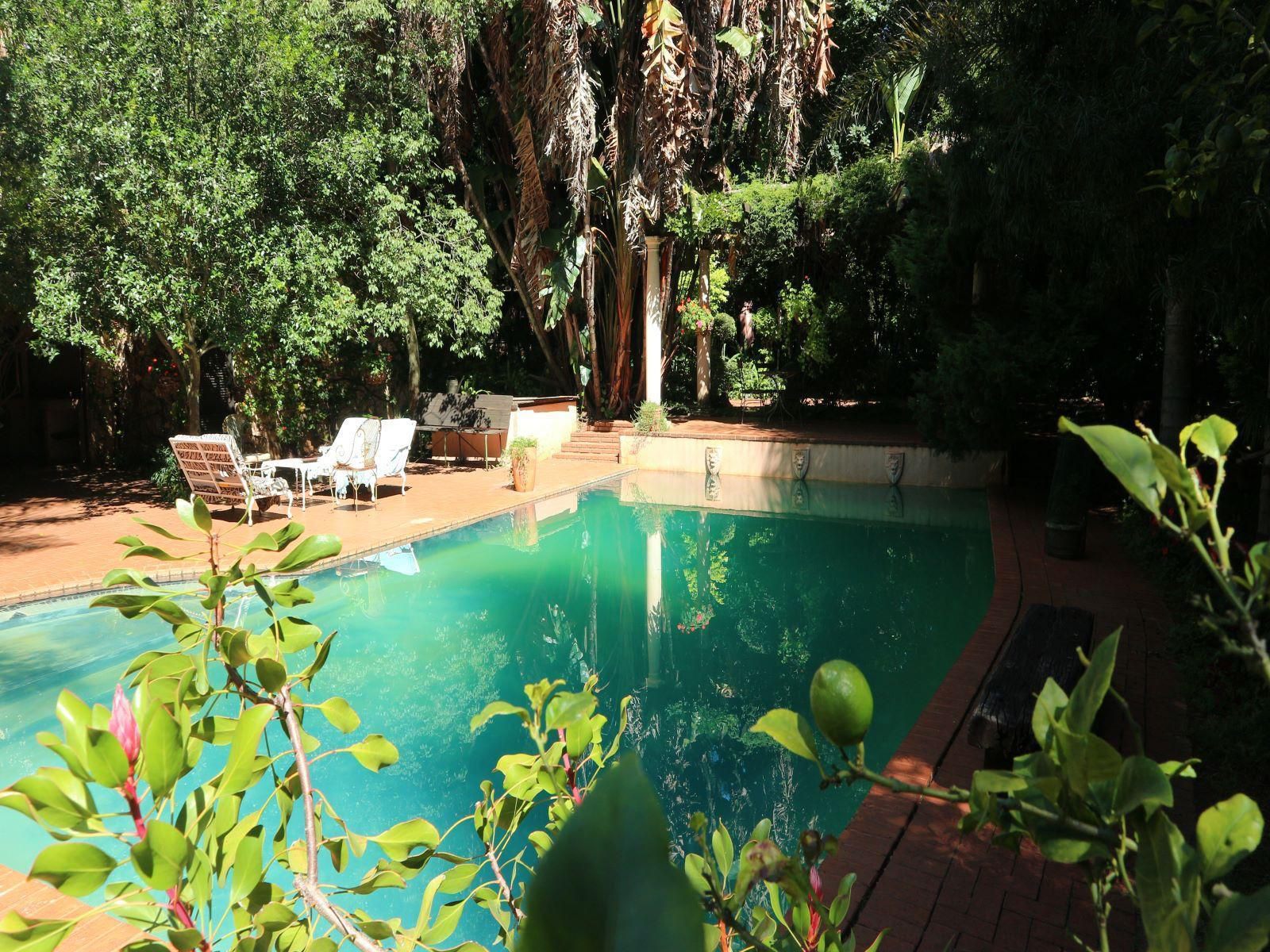 Foxwood House Houghton Johannesburg Gauteng South Africa Plant, Nature, Garden, Swimming Pool