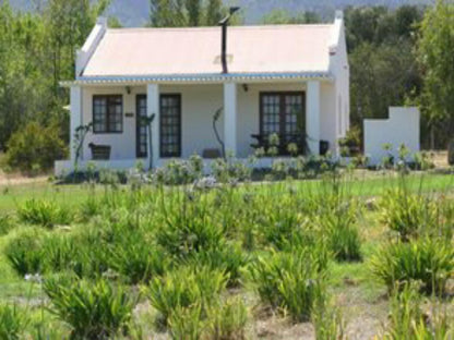 Fraaigelegen Farm Tulbagh Western Cape South Africa House, Building, Architecture, Plant, Nature