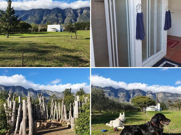 Fraaigelegen Farm Tulbagh Western Cape South Africa Complementary Colors, Mountain, Nature, Highland