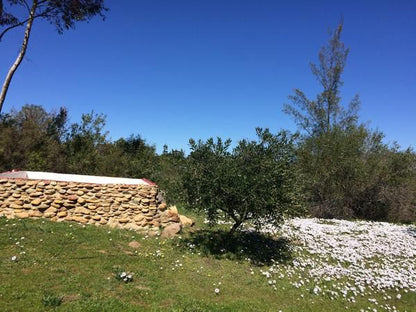 Fraaigelegen Farm Tulbagh Western Cape South Africa Complementary Colors, Ruin, Architecture, Nature