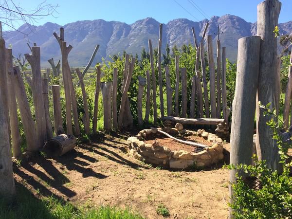 Fraaigelegen Farm Tulbagh Western Cape South Africa Complementary Colors, Cactus, Plant, Nature