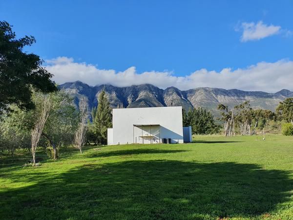 Fraaigelegen Farm Tulbagh Western Cape South Africa Complementary Colors, Mountain, Nature, Palm Tree, Plant, Wood, Framing, Highland