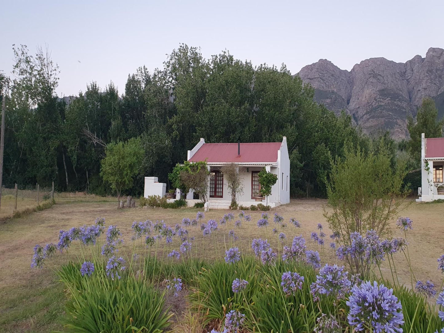 Fraaigelegen Farm Tulbagh Western Cape South Africa Complementary Colors