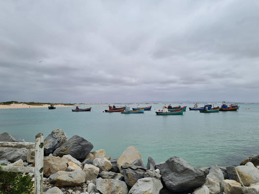 Fraai Uitzicht Struisbaai Struisbaai Western Cape South Africa Boat, Vehicle, Beach, Nature, Sand, Harbor, Waters, City