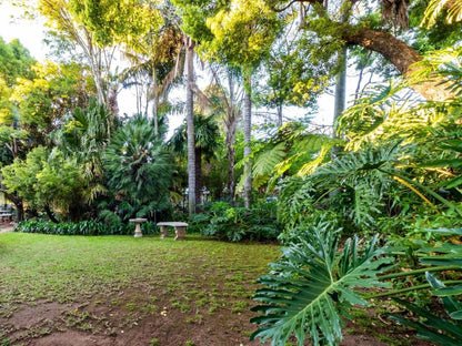 Fralande Lodge Waverley Pretoria Pretoria Tshwane Gauteng South Africa Palm Tree, Plant, Nature, Wood, Tree, Garden