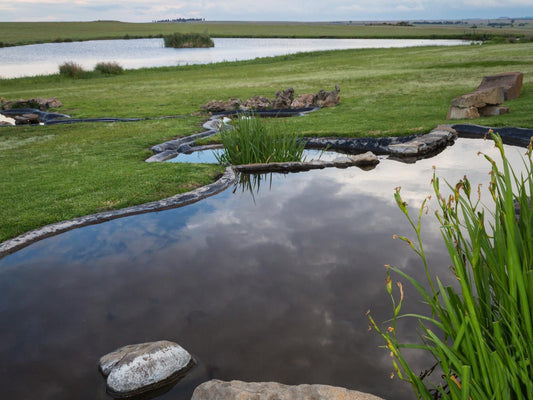 Francolin Creek Guest Lodge Frankfort Free State South Africa Lake, Nature, Waters, River