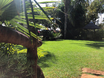 Francor Guesthouse Akasia Pretoria Tshwane Gauteng South Africa Palm Tree, Plant, Nature, Wood