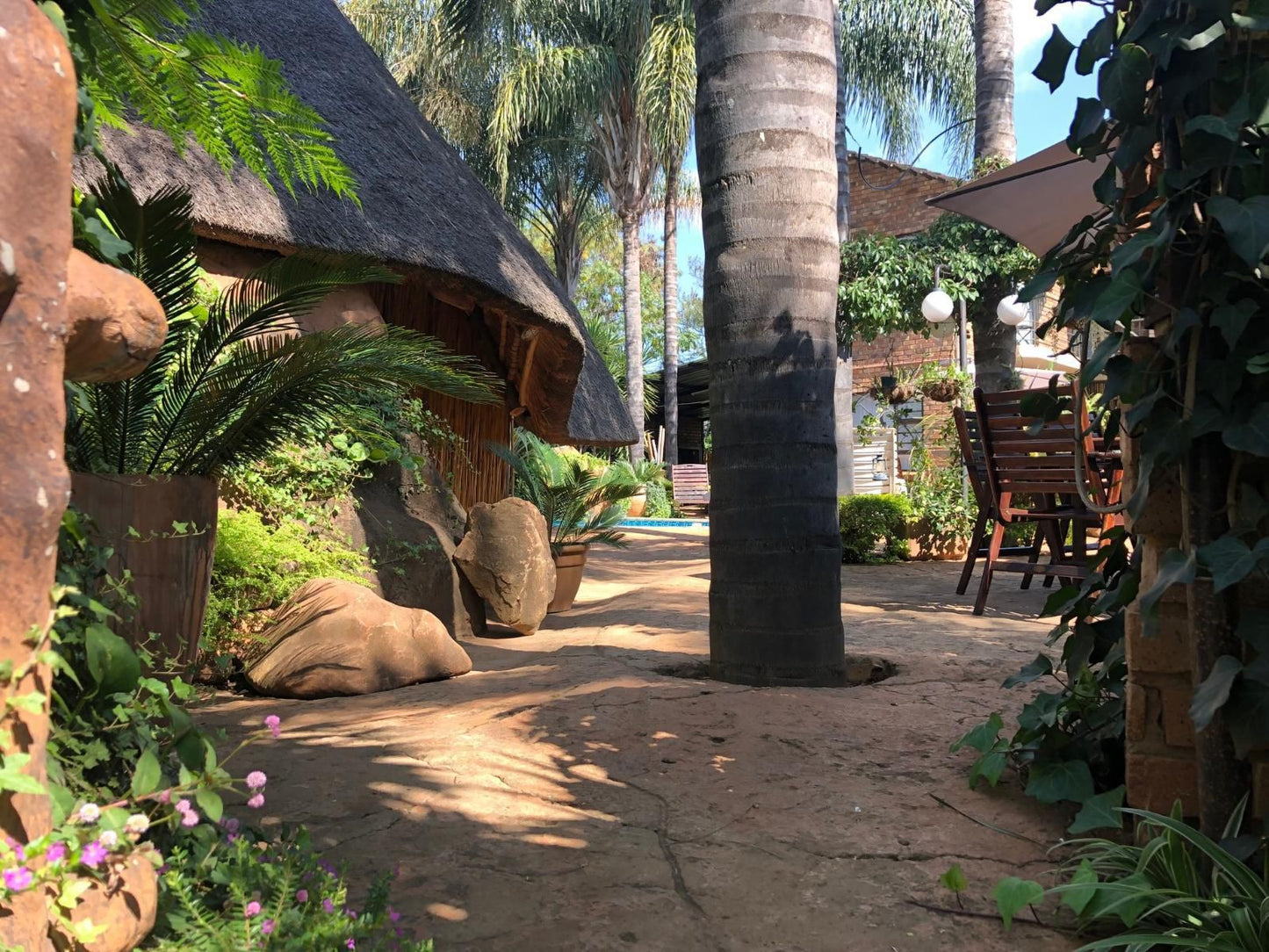 Francor Guesthouse Akasia Pretoria Tshwane Gauteng South Africa Palm Tree, Plant, Nature, Wood, Garden