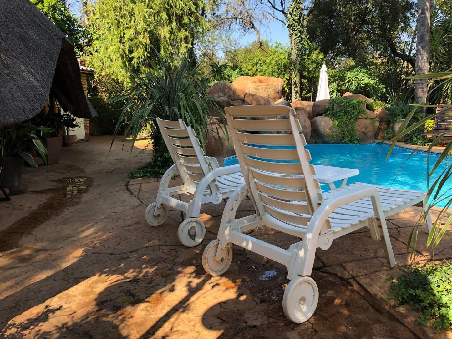 Francor Guesthouse Akasia Pretoria Tshwane Gauteng South Africa Garden, Nature, Plant, Swimming Pool