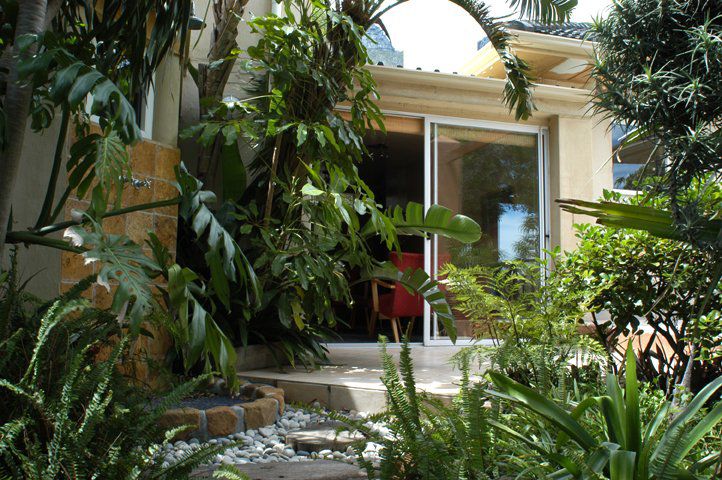 Frangipani Guest House Camps Bay Cape Town Western Cape South Africa House, Building, Architecture, Plant, Nature, Garden