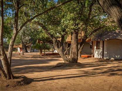 Franks Bush Camp Thornybush Game Reserve Mpumalanga South Africa 