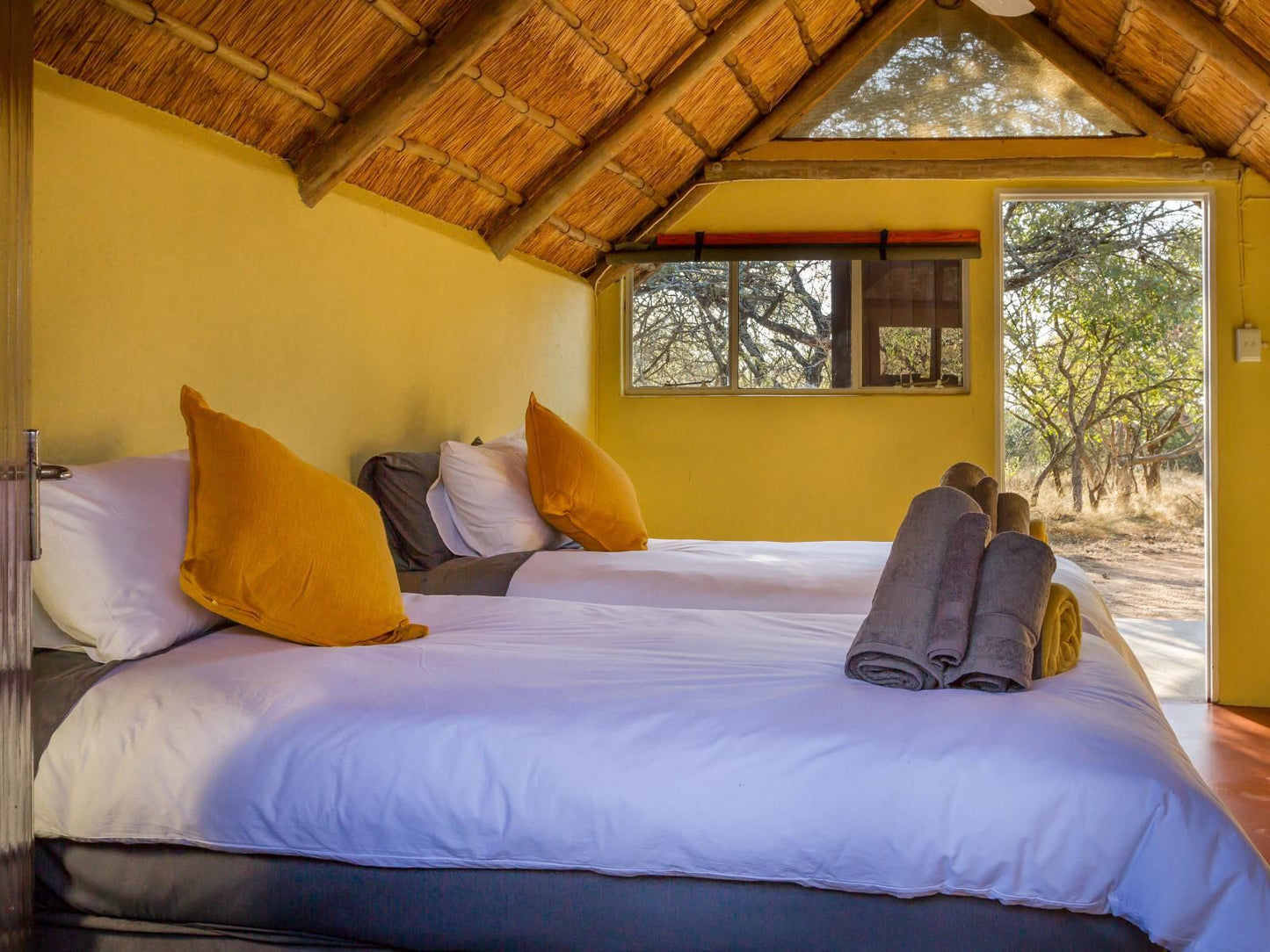 Franks Bush Camp Thornybush Game Reserve Mpumalanga South Africa Complementary Colors, Bedroom