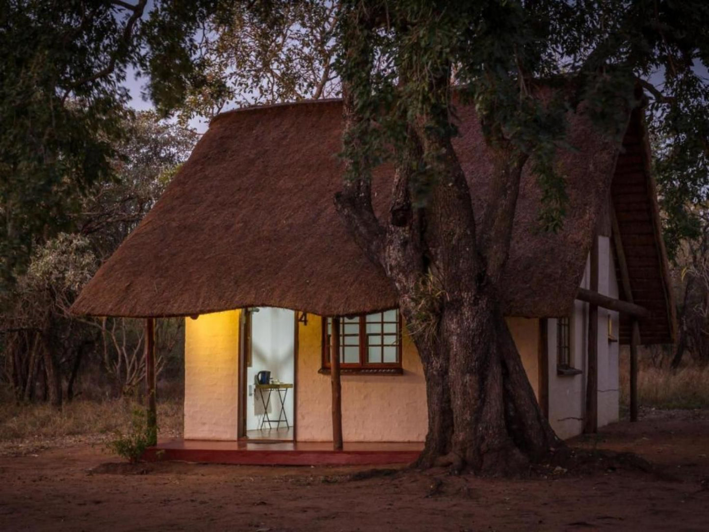 Franks Bush Camp Thornybush Game Reserve Mpumalanga South Africa 