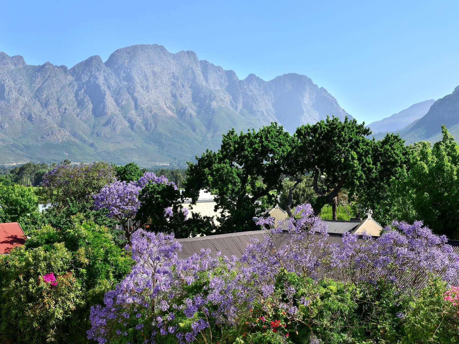 Franschhoek Boutique Hotel Franschhoek Western Cape South Africa Mountain, Nature, Plant