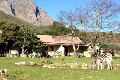 Franschhoek Country Cottages Franschhoek Western Cape South Africa Complementary Colors