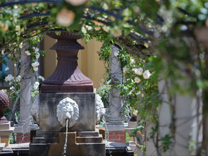 Franschhoek Country House And Villas Franschhoek Western Cape South Africa Plant, Nature, Rose, Flower, Cemetery, Religion, Grave