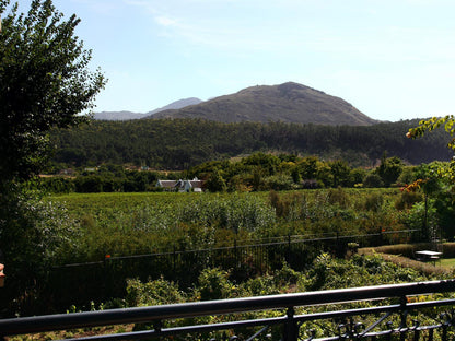 Villa Suite @ Franschhoek Country House & Villas