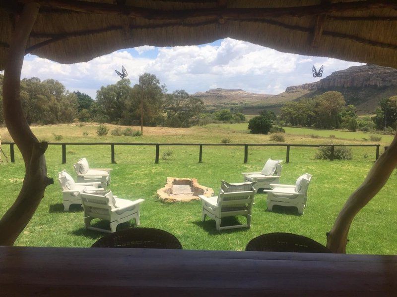 Franshoek Farm And Polo School Ficksburg Free State South Africa 