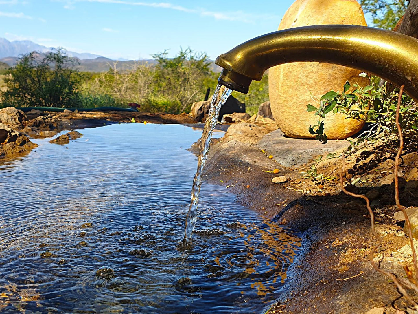 Free At Last Klein Karoo Health Farm Ladismith Western Cape South Africa Complementary Colors