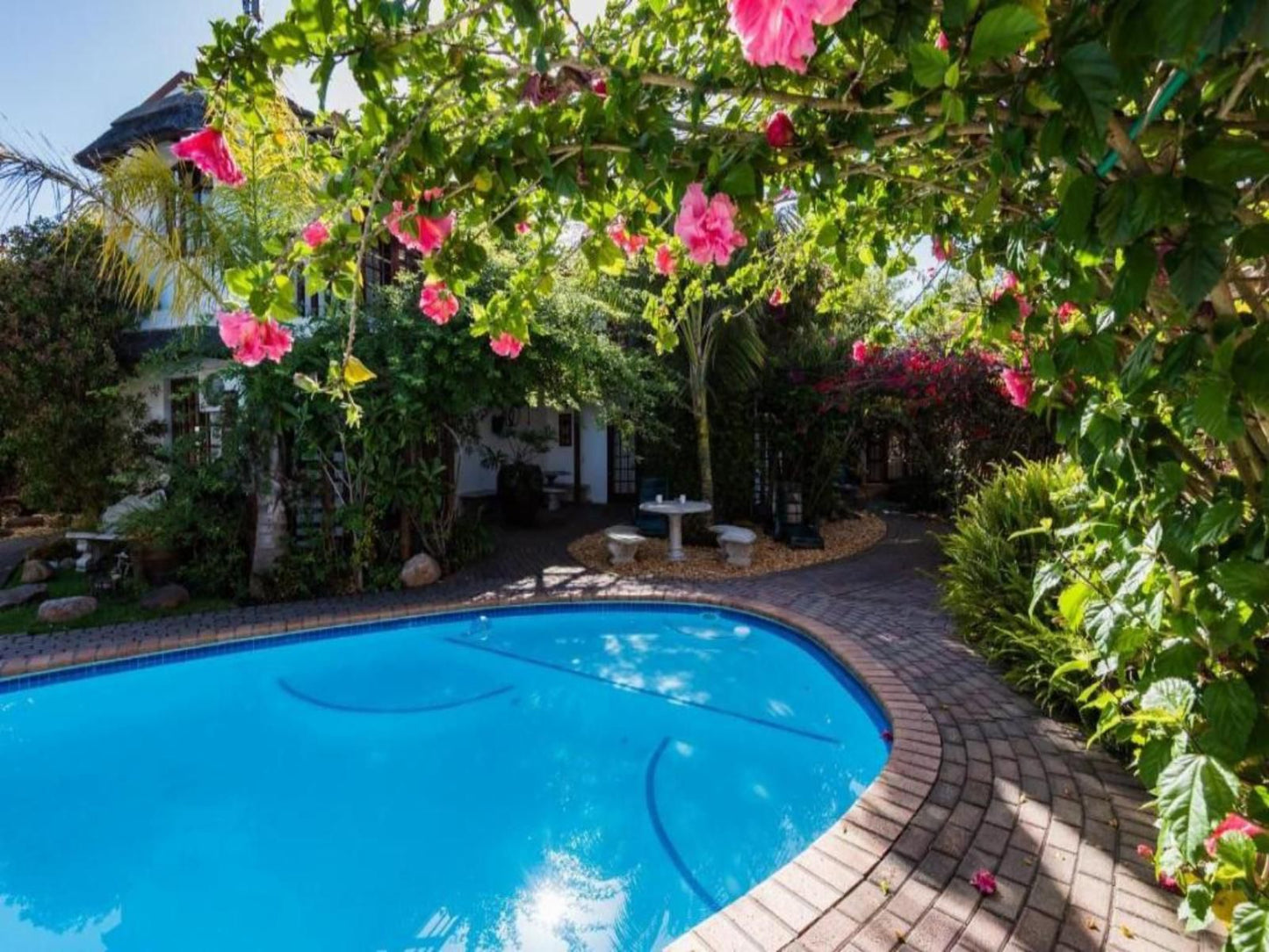 French Lodge International Dormehlsdrift George Western Cape South Africa Complementary Colors, House, Building, Architecture, Plant, Nature, Garden, Swimming Pool