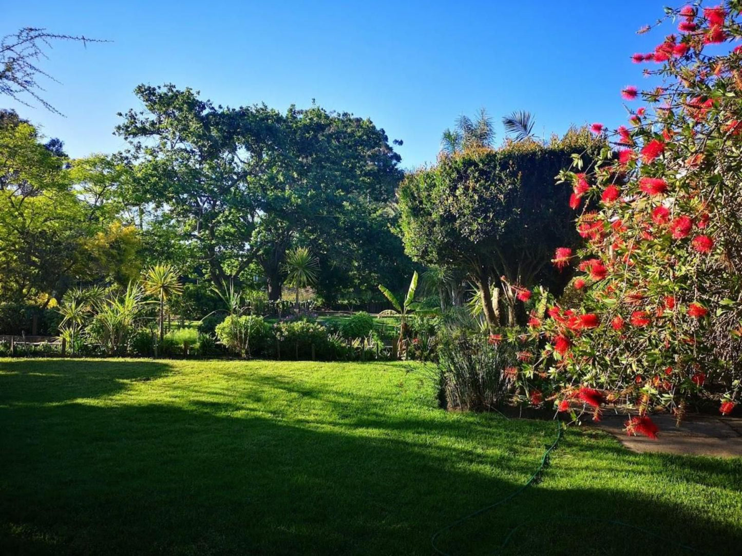 Frieden Hof Guest Accommodation Stellenbosch Farms Stellenbosch Western Cape South Africa Complementary Colors, Palm Tree, Plant, Nature, Wood, Garden