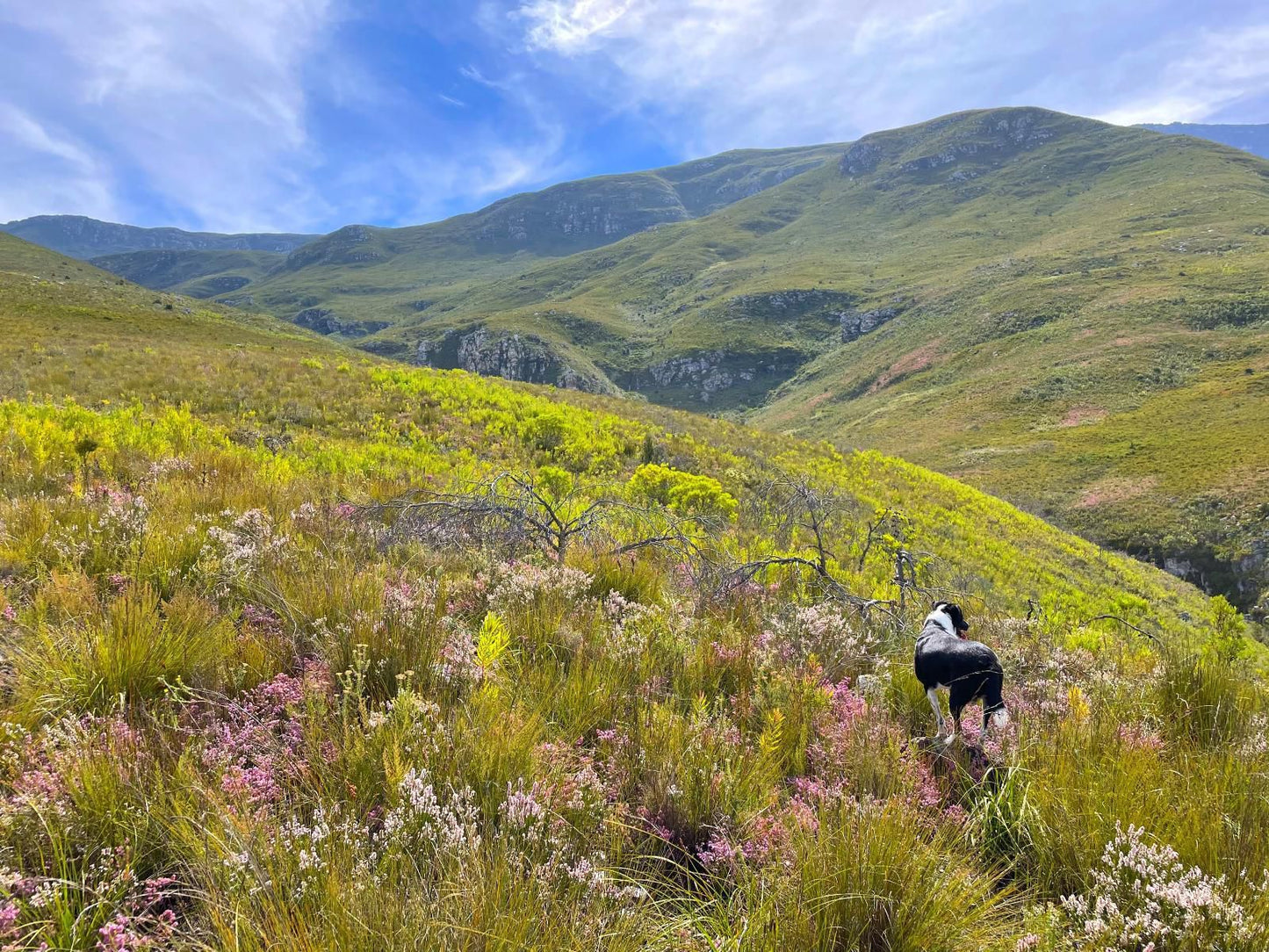 Frog Mountain Getaway Swellendam Western Cape South Africa Complementary Colors, Mountain, Nature, Highland