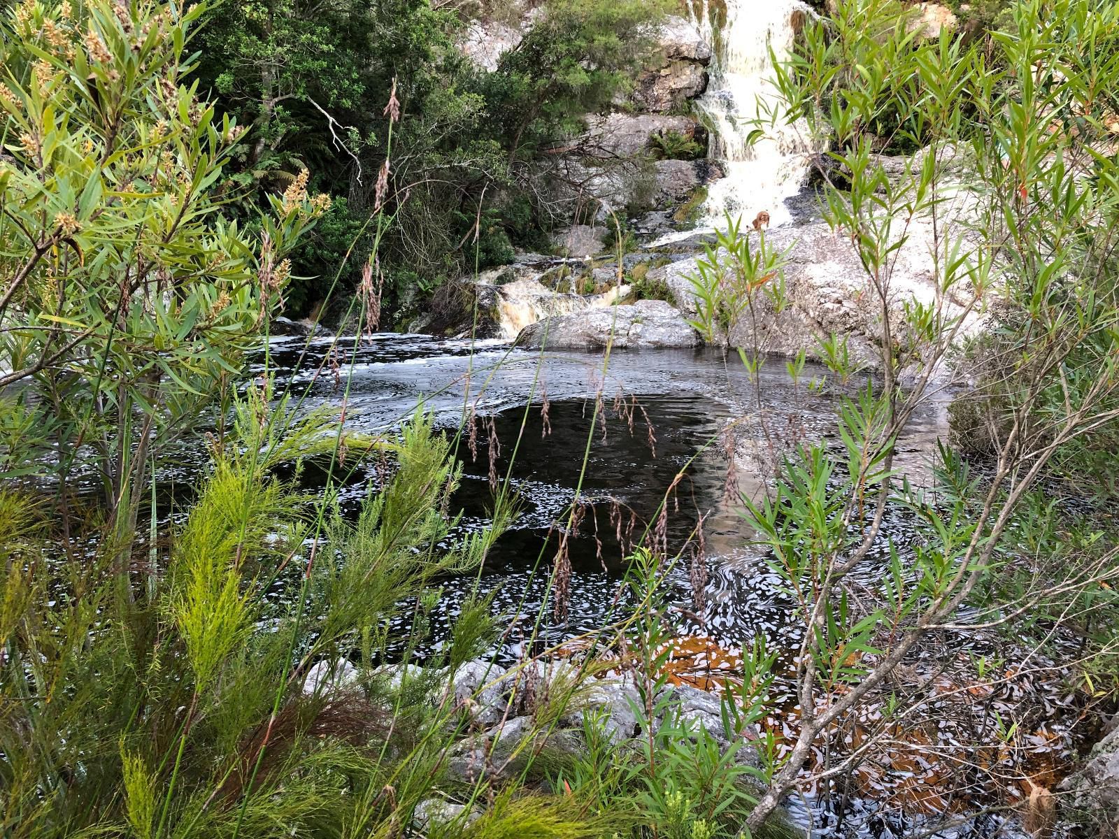 Frog Mountain Getaway Swellendam Western Cape South Africa River, Nature, Waters, Waterfall, Garden, Plant