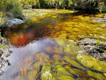 Frog Mountain Getaway Swellendam Western Cape South Africa River, Nature, Waters