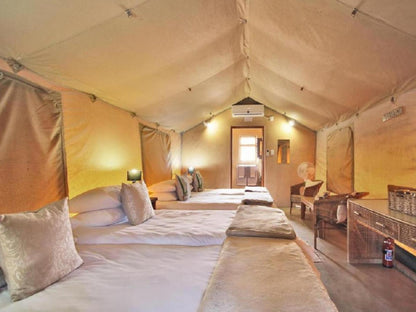 Luxury Family Tent @ Frontier River Resort
