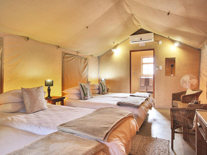 Luxury Family Tent @ Frontier River Resort