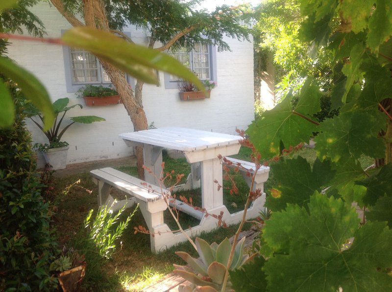 Fudge Guest Cottage Vermont Za Hermanus Western Cape South Africa Garden, Nature, Plant