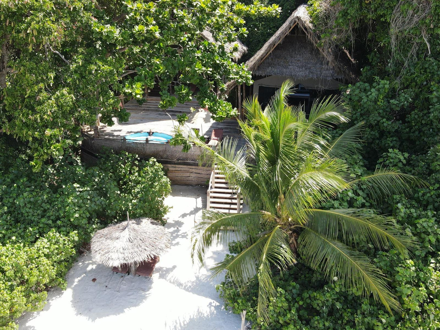 Fundu Lagoon, Boat, Vehicle, Building, Architecture, Island, Nature, Palm Tree, Plant, Wood